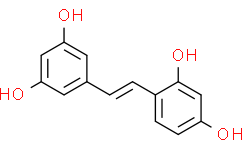 Oxyresveratrol