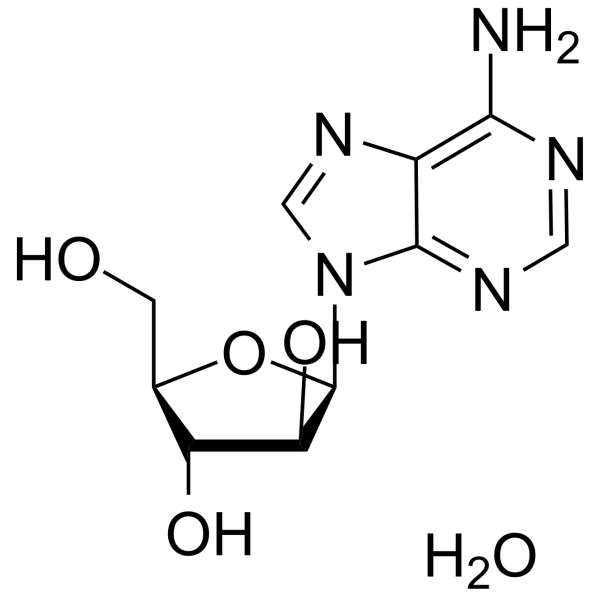 Vidarabine monohydrate