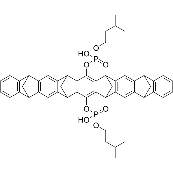 SARS-CoV-2-IN-26