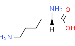 L-Lysine