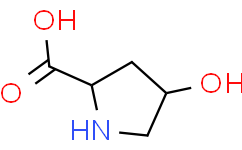 L-Hydroxyproline