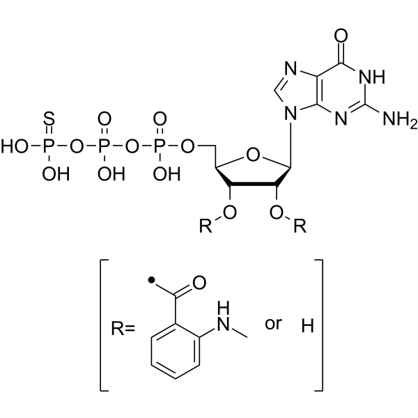 Mant-GTPγS