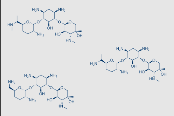 Gentamicin