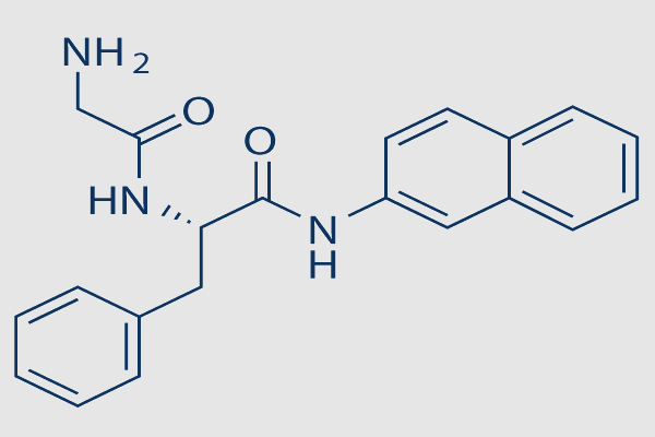 Gly-Phe β-naphthylamide