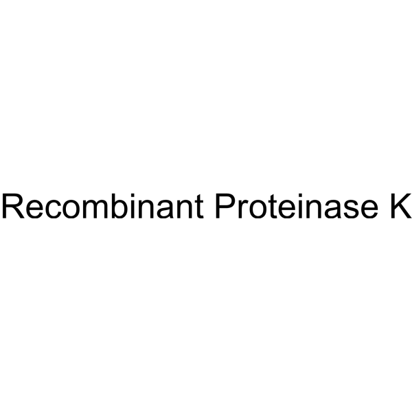 Recombinant Proteinase K