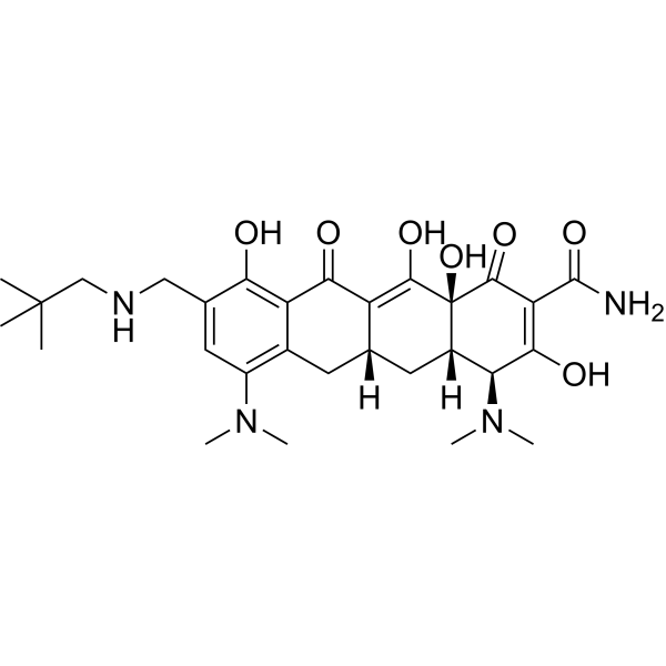 Omadacycline