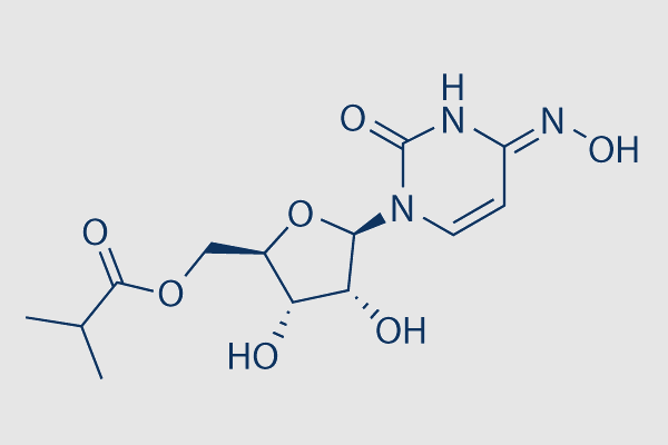 Molnupiravir (EIDD-2801)